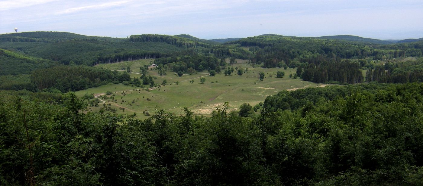17. Nagymező látkép.jpg